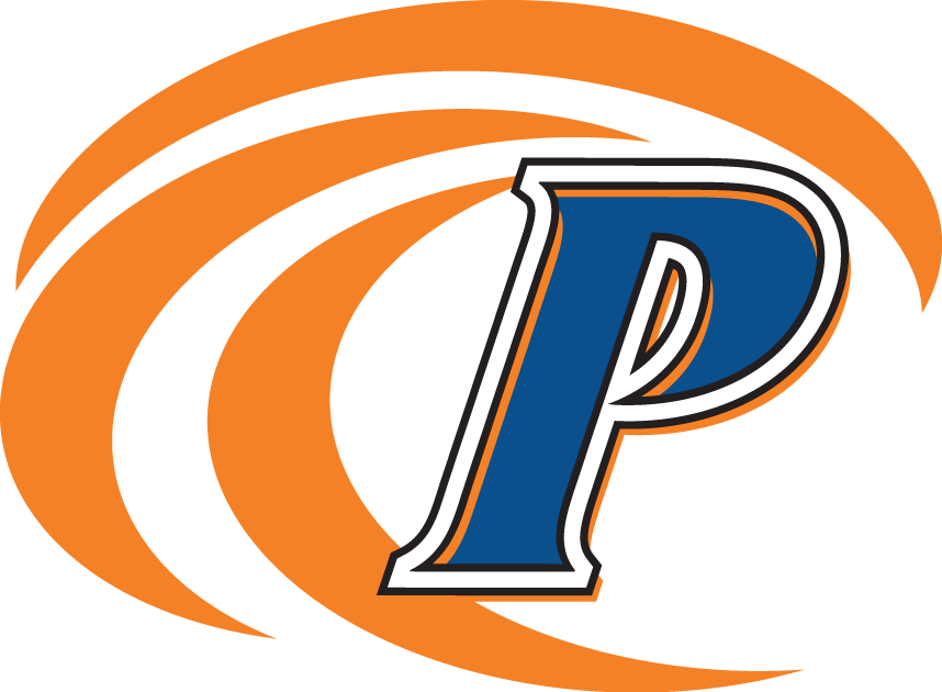 Pepperdine Waves 2004-2010 Secondary Logo diy DTF decal sticker